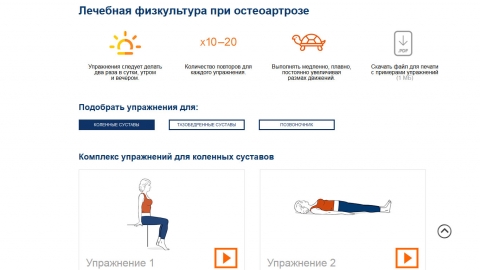 Создание и поддержка официального сайта препарата Терафлекс компании Bayer