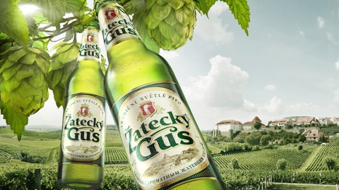 Создание flash-баннеров бренда Zatecky Gus